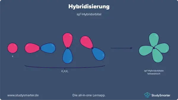 Die Hybridisierung in der Chemie: Ein s-Orbital und drei p-Orbitale verschmelzen zu vier sp³-Hybridorbitalen, die tetraedrisch angeordnet sind.