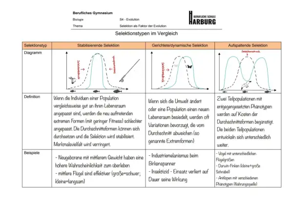 Vergleich von Selektionstypen: stabilisierend, gerichtet, aufspaltend. Die Definition von Selektion wird anhand von Diagrammen und Beispielen erklärt.