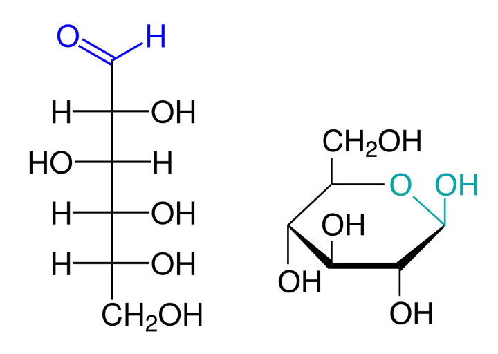 Chemische Strukturformeln: Formaldehyd (links) und Wasserstoffperoxid (rechts), relevant für den Benedict-Test.